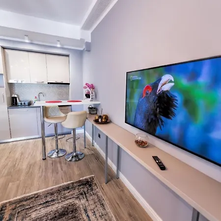 Miros De Vacanta Apartment